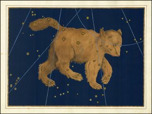 Johann Bayer, Ursa Major - Johann Bayer