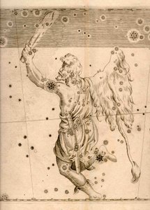 Uranometria (1661) montrant la constellation Orion
