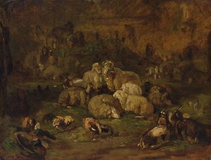 Moutons, chèvres et poules