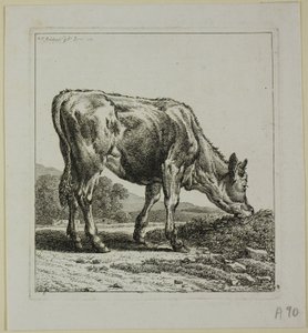 Veau se nourrissant, de Die Zweite Thierfolge - Johann Christian Reinhart