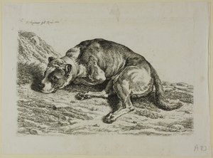 Chien couché, de Die Zweite Thierfolge - Johann Christian Reinhart