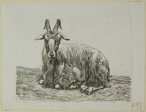 Chèvre couchée, de Die Zweite Thierfolge - Johann Christian Reinhart