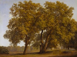  - Johann Christian Reinhart