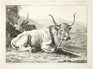 Deux taureaux romains au repos, de Die Zwiete Thierfolge - Johann Christian Reinhart