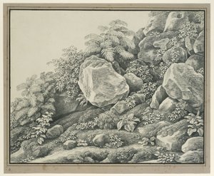 Étude de premier plan : rochers, buissons, fougères et plantes à feuillage - Johann Christian Reinhart