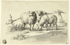 Moutons - Johann Christoph Kimpfel