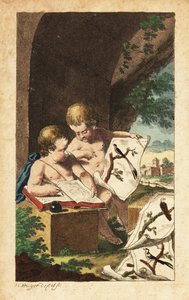 Deux jeunes ornithologues étudiant des gravures d