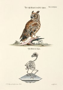  - Johann Daniel Meyer