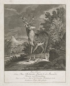 Un magnifique cerf dans un paysage - Johann Elias Ridinger