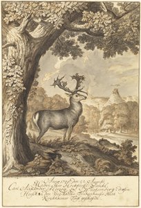 Un cerf sous un chêne majestueux - Johann Elias Ridinger