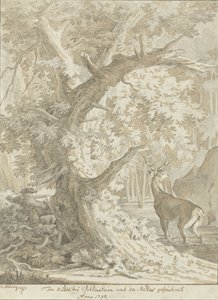 Chasseur visant un cerf dans l