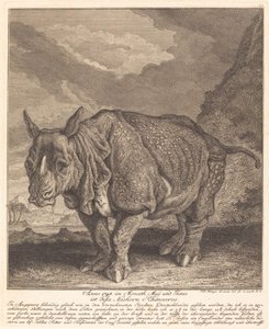 Rhinocéros - Johann Elias Ridinger