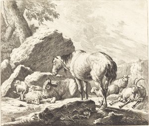 Un cheval, un buffle, des moutons et une chèvre dans un paysage italien