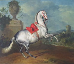 Le gris pommelé au galop