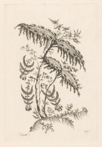 Feuilles avec formes de corne (Fleures Baroque)