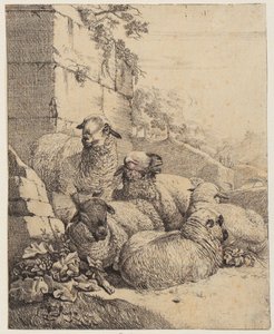 Quatre moutons couchés et un mouton debout devant un mur, feuille de la série « Moutons et chèvres » - Johann Heinrich Roos