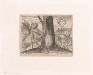 Série de gravures avec fleurs et animaux dans un paysage