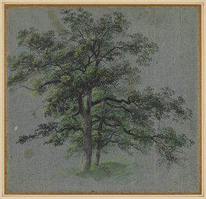 Deux Arbres, première moitié des années 1800 - Johann Jacob Dorner
