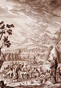 Hébreux combattant une invasion de sauterelles - Johann Jakob Scheuchzer