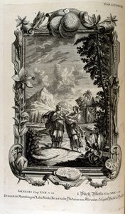 Plante de mandragore. Elle est souvent connue sous le nom de mandragore - Johann Jakob Scheuchzer