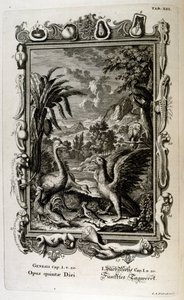 Le récit de la création dans la Genèse : Le cinquième jour de la création : Les animaux sont créés - Johann Jakob Scheuchzer