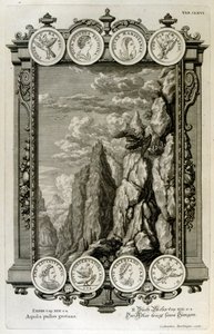 Zeus symbolisé comme un aigle - Johann Jakob Scheuchzer