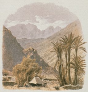 Sinaï. Gravure par Bernatz et alii - Steinkopk J.F. Éditeur