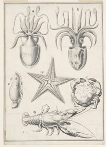 Travail du cinquième jour - Johann Melchior Füssli