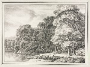 Paysage boisé avec lac
