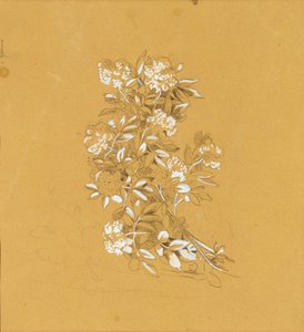 Bouquet de fleurs - Johann Peter Krafft