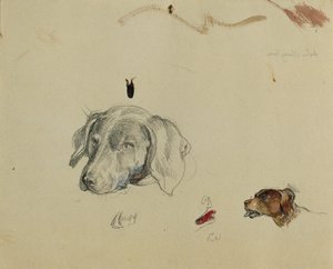 Étude de chien