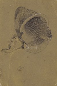 Étude d