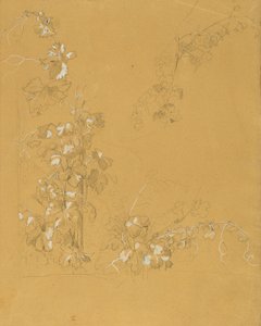 Vigne, étude pour "Hermann et Dorothée dans le vignoble" - Johann Peter Krafft