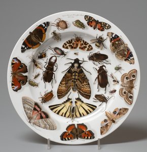 Assiette, Lippert & Haas, Schlaggenwald - Johann Quast