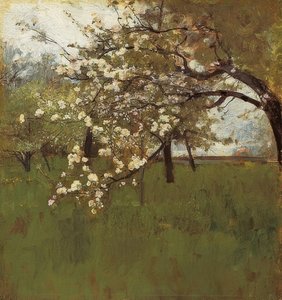 Pommier en fleurs