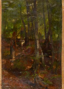 Paysage forestier