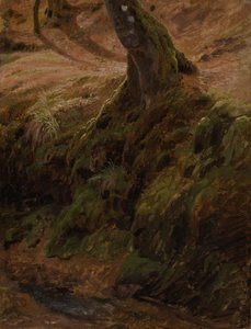  - Johann Wilhelm Schirmer