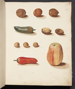 Étude de pomme, noix et poivrons