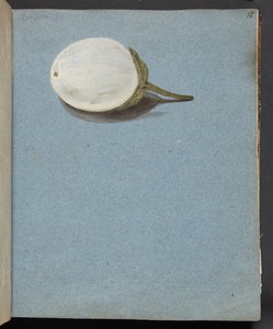 Étude de baies