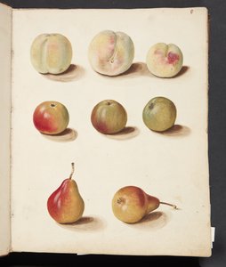 Étude de pêche, pomme et poire