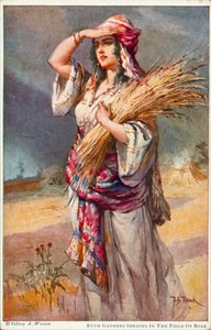 Ruth ramasse des épis dans le champ de Boaz