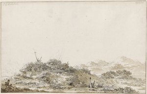 Paysage de dunes