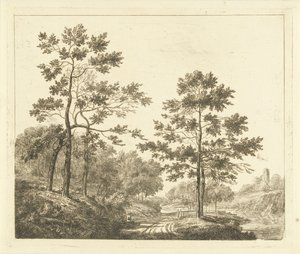 Sentier forestier dans un paysage vallonné