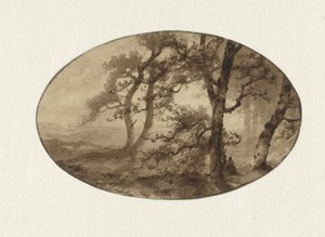 Lisière de forêt