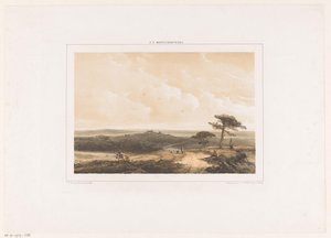 Paysage de bruyère avec un promeneur au repos et un berger avec son troupeau - Johannes Franciscus Hoppenbrouwers