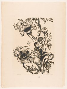 Étude de coquelicots - Johannes Frederik Engelbert ten Klooster (signed by artist)
