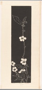 Fleur de thé