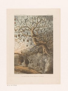 Chauves-souris dans un arbre