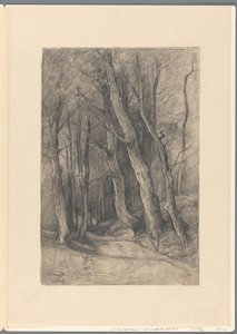 Paysage forestier près de Delden - Johannes Gijsbert Vogel