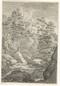 Ravin avec des arbres et un ruisseau